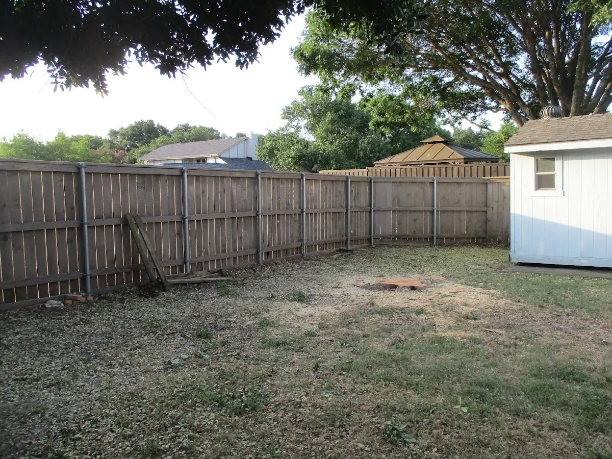Cleared yard after professional tree removal in Willow Street